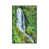 White Floater Framed selected