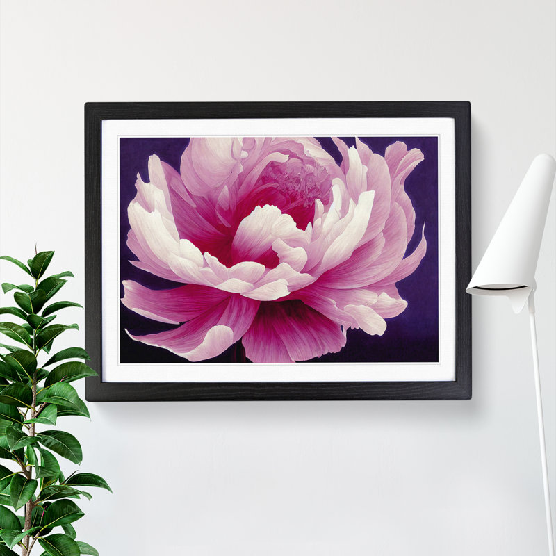 Impressive Peony Flower - Single Picture Frame Print, Black, 46cm H x 64cm W x 2cm D