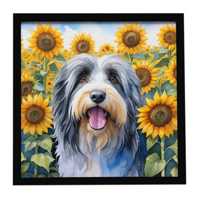 Bearded Collie in Sunflowers Framed Metal Print
