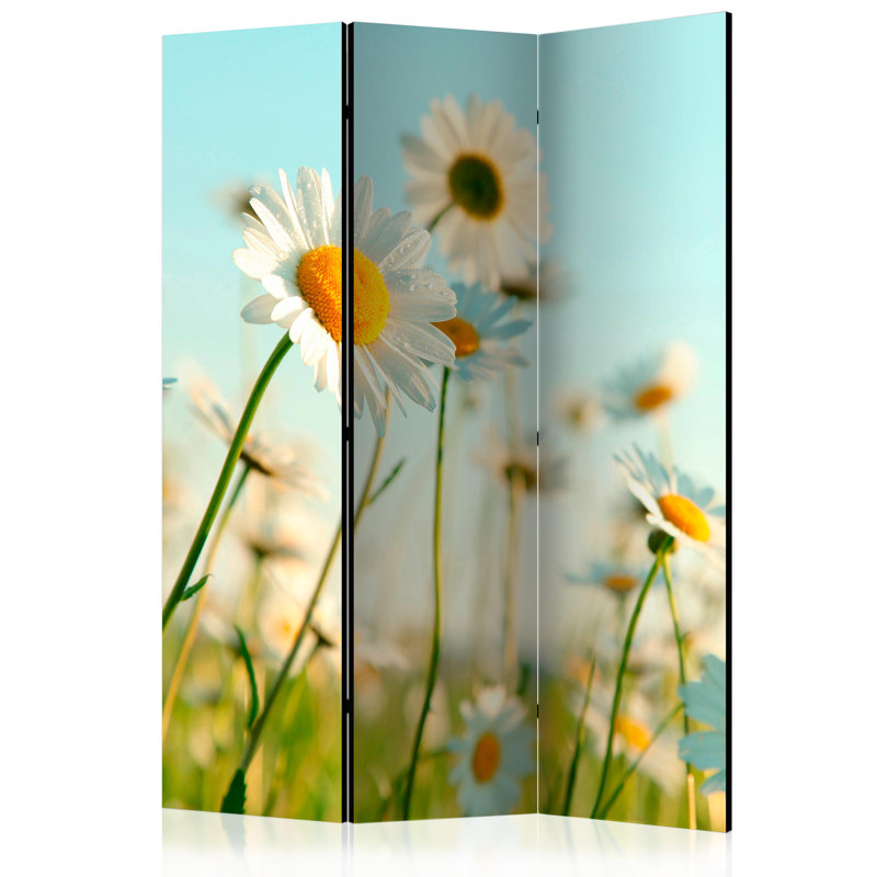 Mushegh 172cm H Folding Room Divider, 3, White Daisies