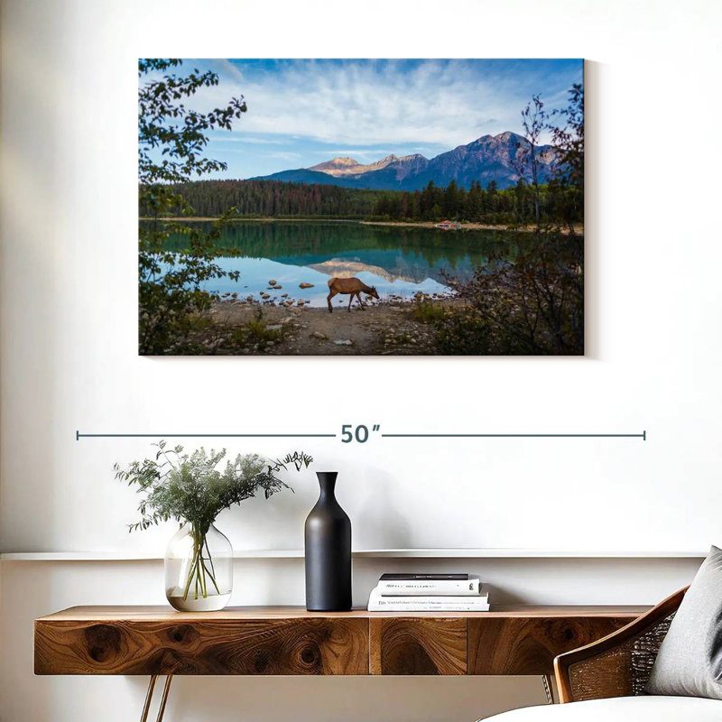 Orignal sauvage du parc Jasper, H 26 po x l 39 po