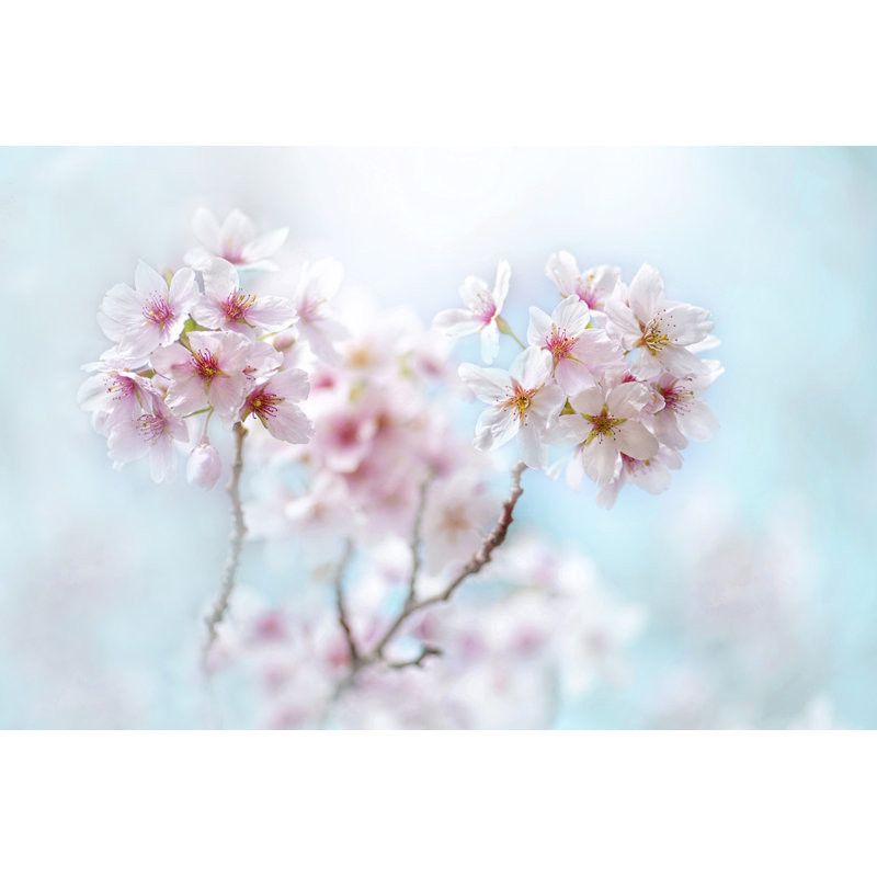 Wrapped Canvas Print, 50.8 cm H x 76.2 cm W