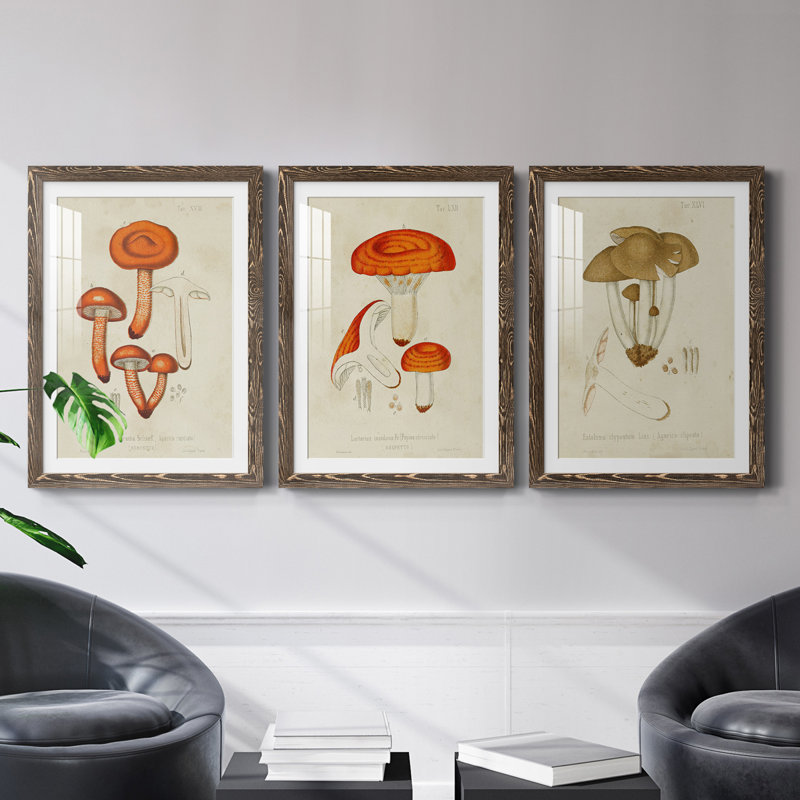 Champignon Variétés IV encadré mat - prêt à accrocher, H 43,5 po x l 31,5 po x P 1 po, Noyer