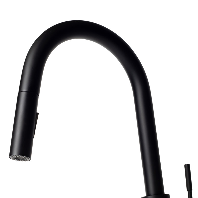 Gemini Single Handle Kitchen Faucet with Side Spray and Accessories, Matte Black