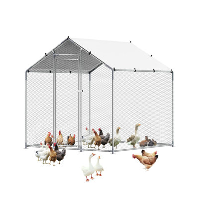 Chicken Coop with Chicken Run