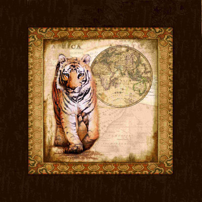" Safari Kitty 1 "