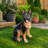 Outdoor Dog Statue