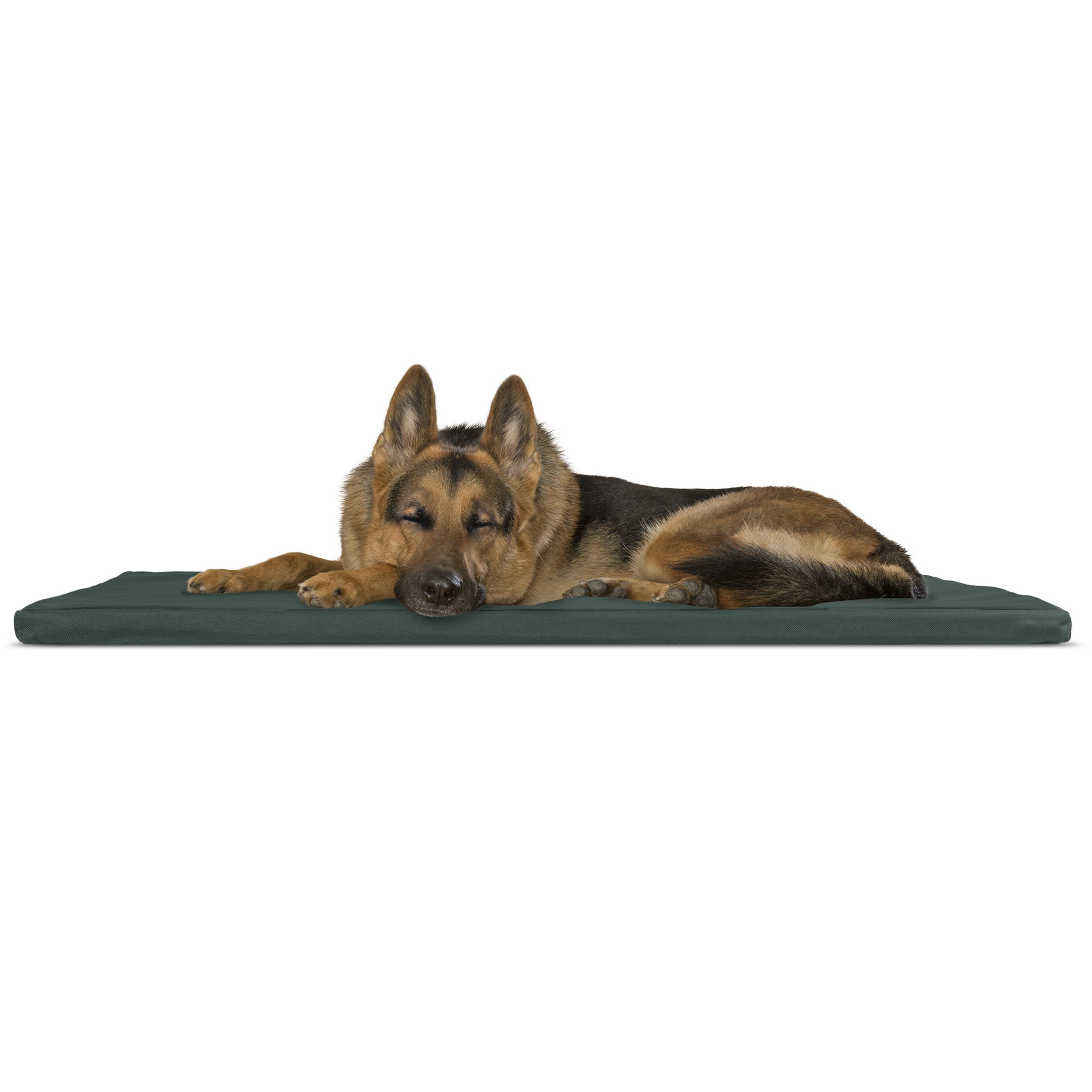 Pet Pal 1.25-in x 25-in Reusable Plastic Artificial Grass Mat in the Puppy  Training Pads department at