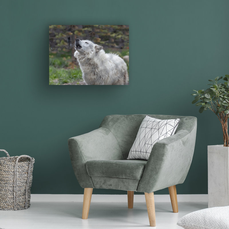 «Loup hurlant» bolognaise sur toile, H 18 po x l 24 po