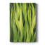 Blades of Grass I - Gallery Cavas sur mesure-1301586587