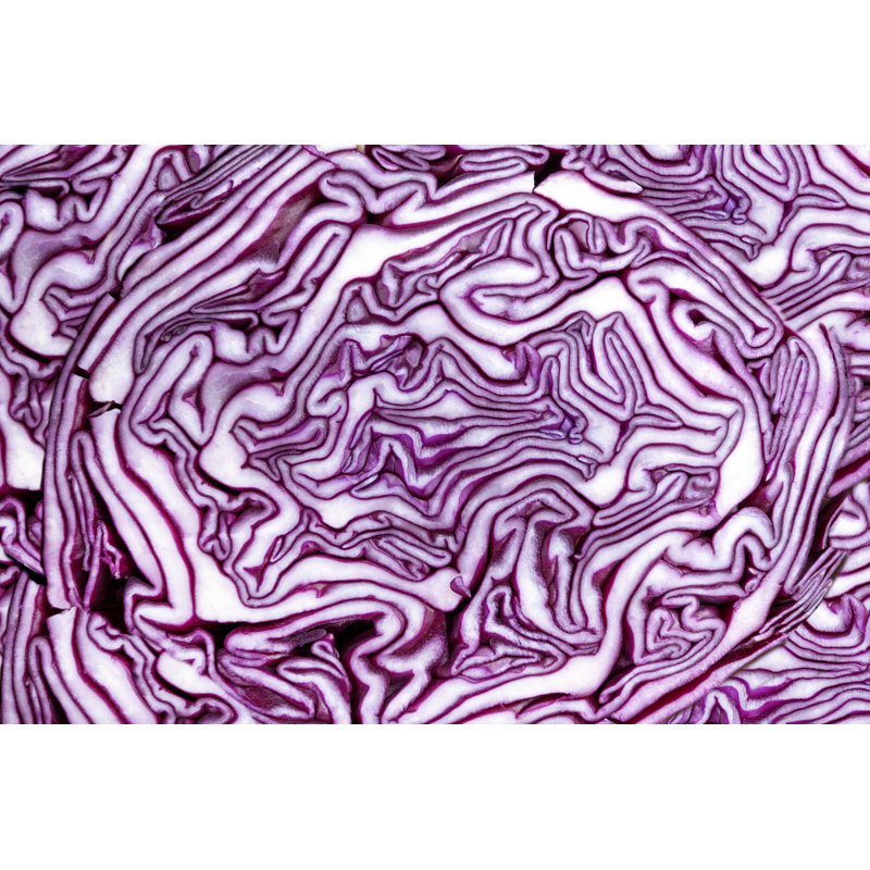 Annagene Red Cabbage - Wrapped Canvas Print, 61cm H x 91cm W x 3.8cm D