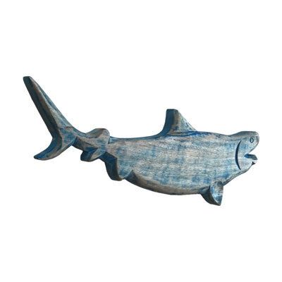 Tigre, requin-tigre - poisson bleu