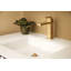 Skylar Single Hole Bathroom Faucet with Drain Assembly-92932727