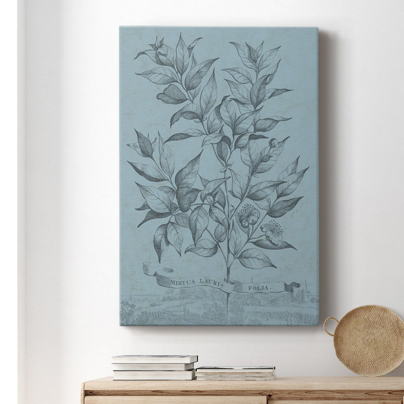 «Botanical on Teal I», impression sur toile tendue, H 18 po x l 12 po x P 1 po