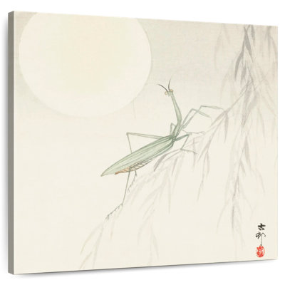 Brampt Praying Mantis