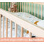 Baby Cot-93576651-93576653