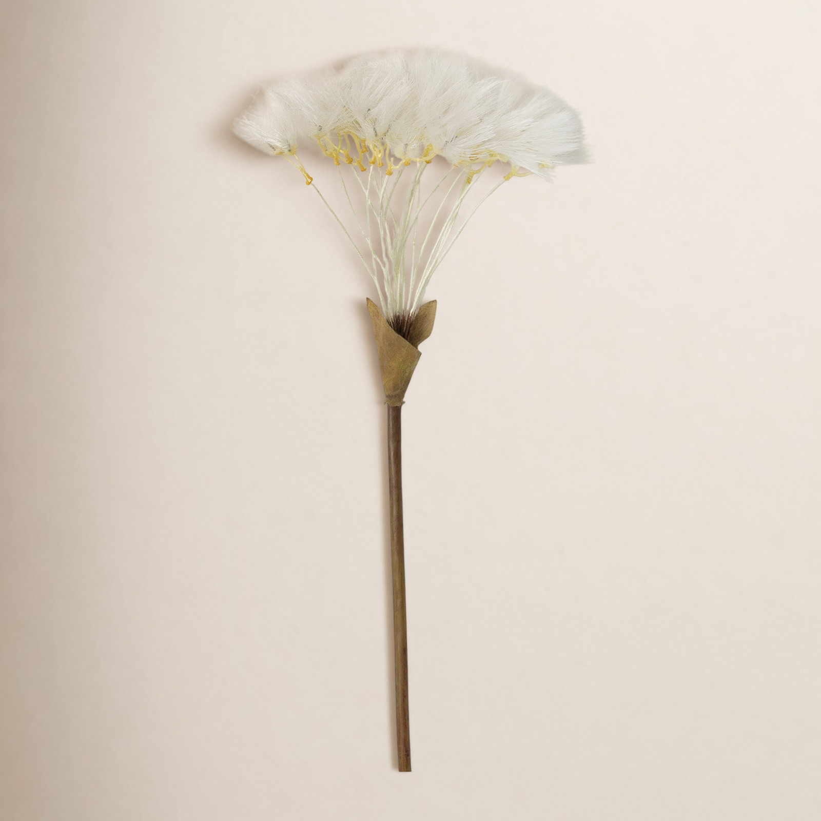 Dandelion Sprays