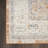 Nourison Essentials Persian Beige/Blue Indoor/Outdoor Area Rug-1140383251