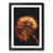 Black Framed selected