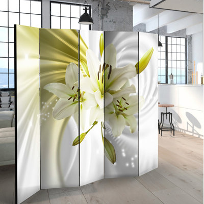 172cm H Solid Wood Folding Room Divider