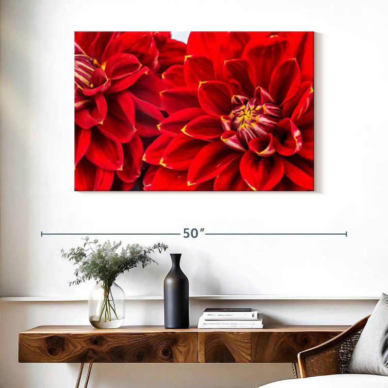 Dahlia Bloom, 26" H x 39" W