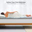 3 po, mousse viscoélastique imprégnée de gel, matelas pour grand lit, soulagement, amplification du débit d'air, gel rafraîchissant ferme à haute densité, conception de sommeil ventilé sécuritaire pour les animaux de compagnie