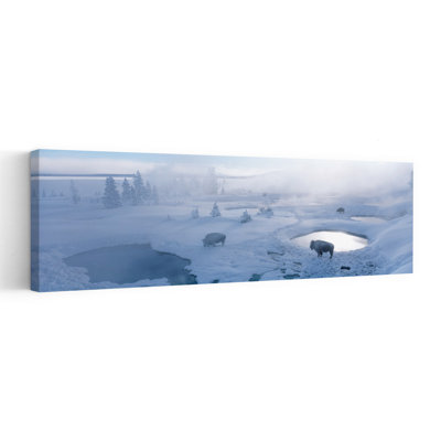Bison West Thumb Geyser Basin Yellowstone National Park Wyoming USA by Discovery Comm - Wrapped Canvas Panoramic Print