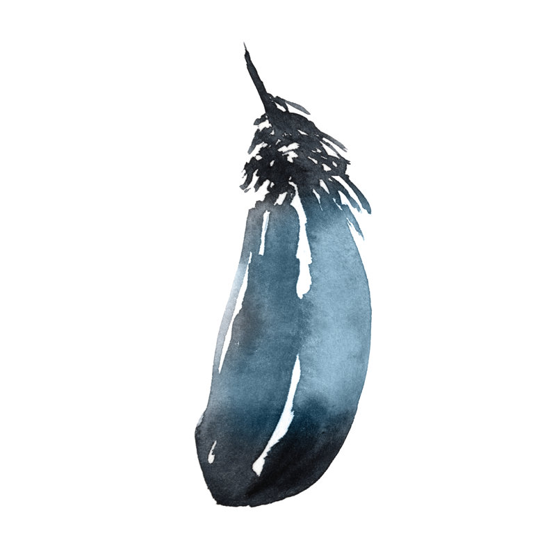 Plume saturée I, H 12 po x l 8 po