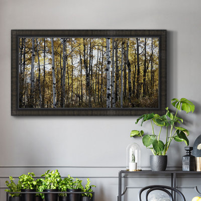 Williamstown Sunny Grove - Reproduction de photo sur toile simple