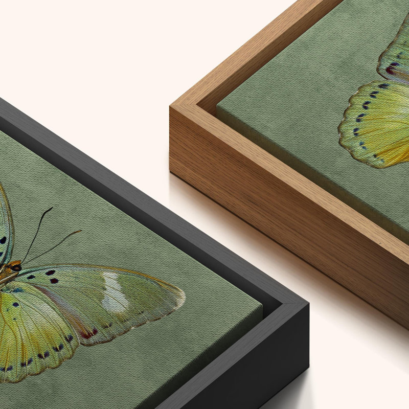 «Vibrant Butterfly Illustration Minimalist Mid Century Modern Boho», reproduction d'art sur toile encadrée, Naturel