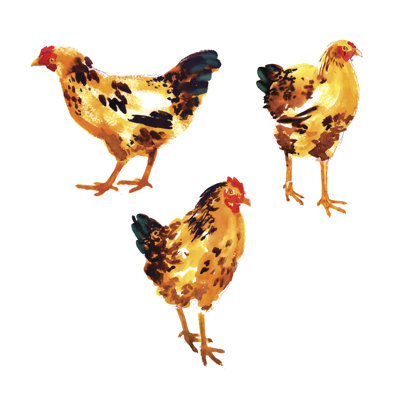 Set With Orange-Red Watercolor Hens And Roosters - Wrapped Canvas Print