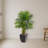 Kentia Palm Artificial Tree in Black Planter