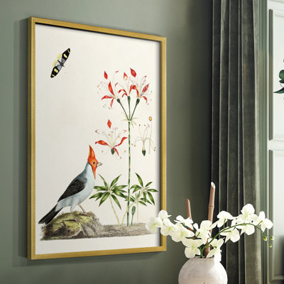 Bird in Habitat I Framed Print - Solid Wood