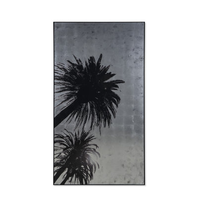 Silver Leaf Palm Tree C Print