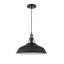 Luminaire suspendu en forme de dôme à 1 lumière Glenover-805046784-767036867