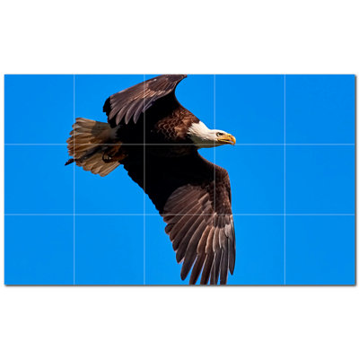 Murale en céramique satinée Bird Photo 8 po x 8 po