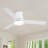 Jazyon 48'' Ceiling Fan with Light Kit-483904215
