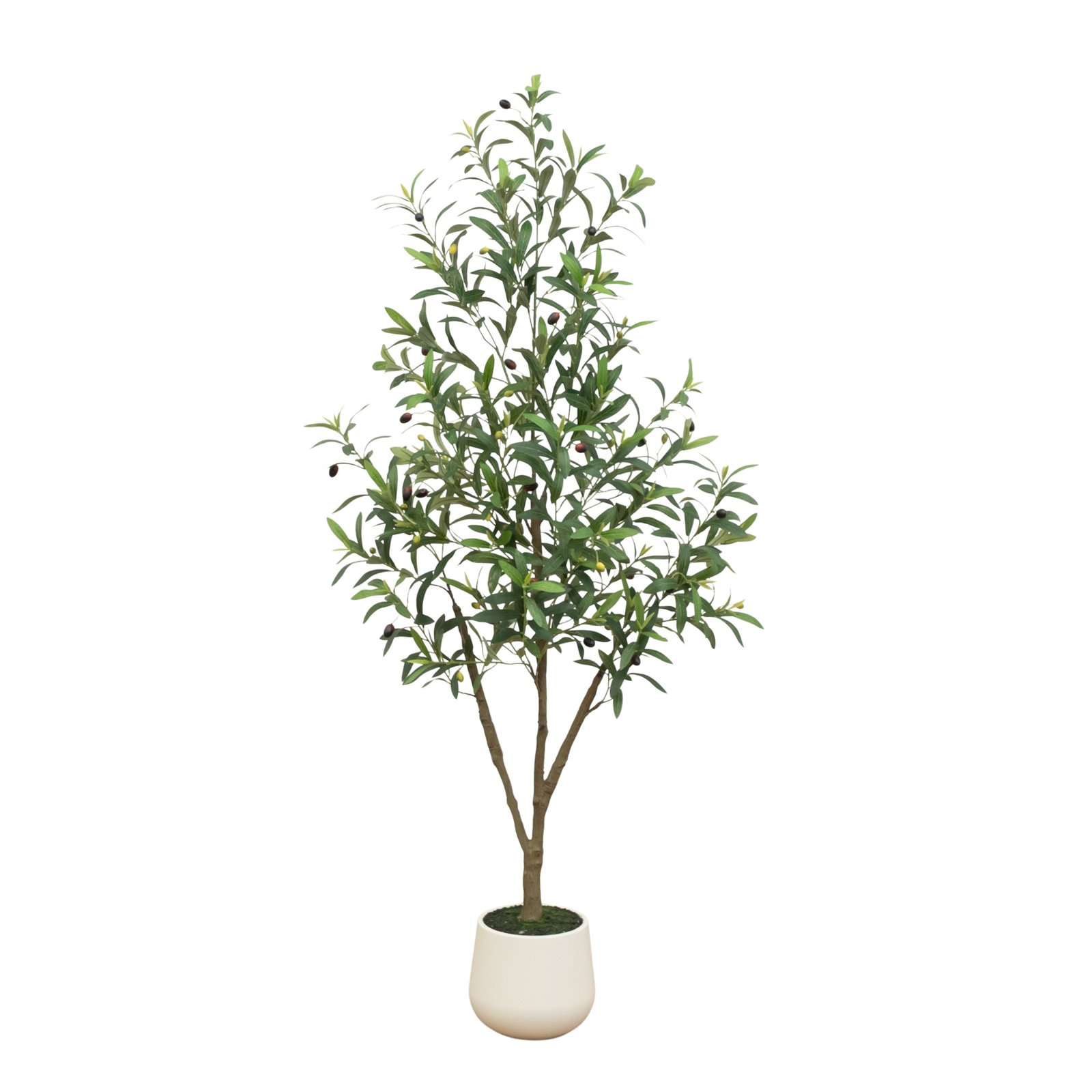 Tree, 5ft