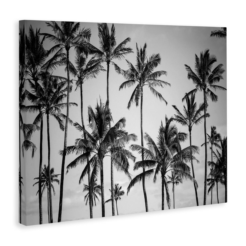 «Palm Trees Skyline Black and White» par Design Fabrikken, reproduction de photo, H 36 po x l 48 po