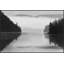 Daylight 4 Print by Thom Filicia-107155333