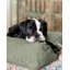 Coussin Signature / lit classique-163507267-163507269