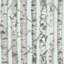 Rouleau de papier peint bouleau L 33 pi x l 20,5 po Kaori-1045911432