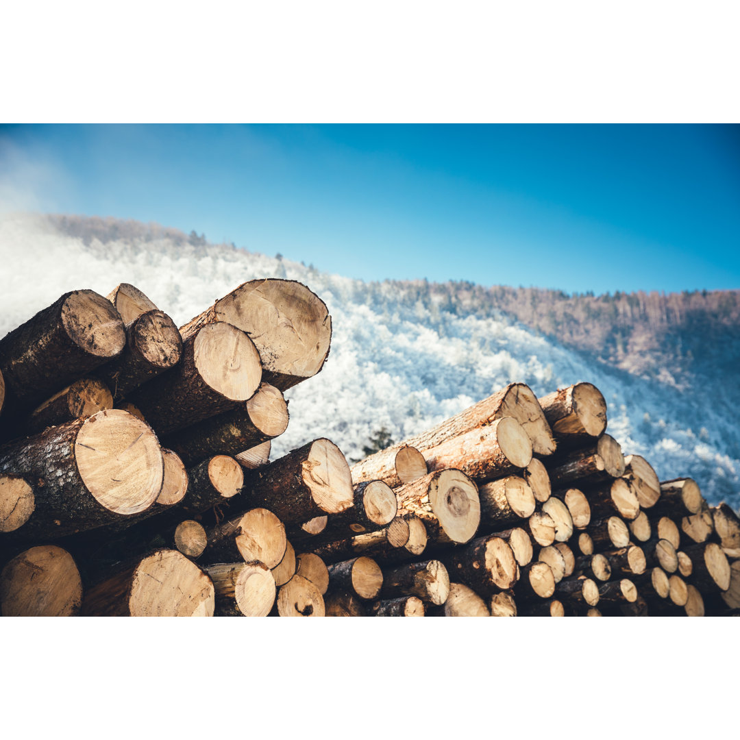 Wooden Logs von Borchee - Kunstdrucke auf Leinwand ohne Rahmen