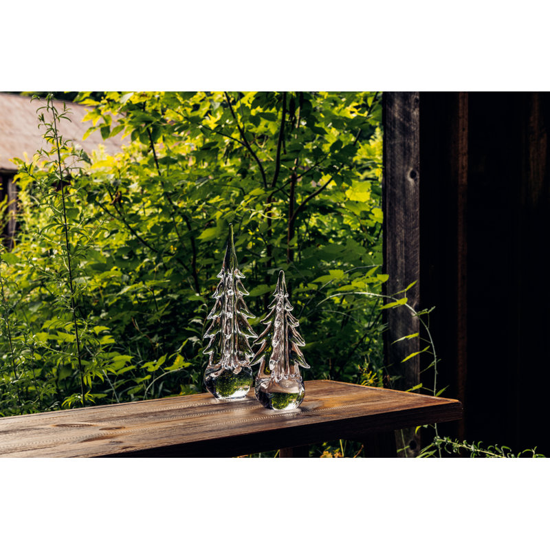 Five-Sided Evergreen, 14 inch