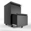 37.3cm Wide 2 -Drawer Mobile File Cabinet-1144010586