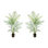5' and 5.5' Outdoor UV Rated Kentia Palm Drop-In Trees