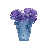 Blue/Purple is unavailable
