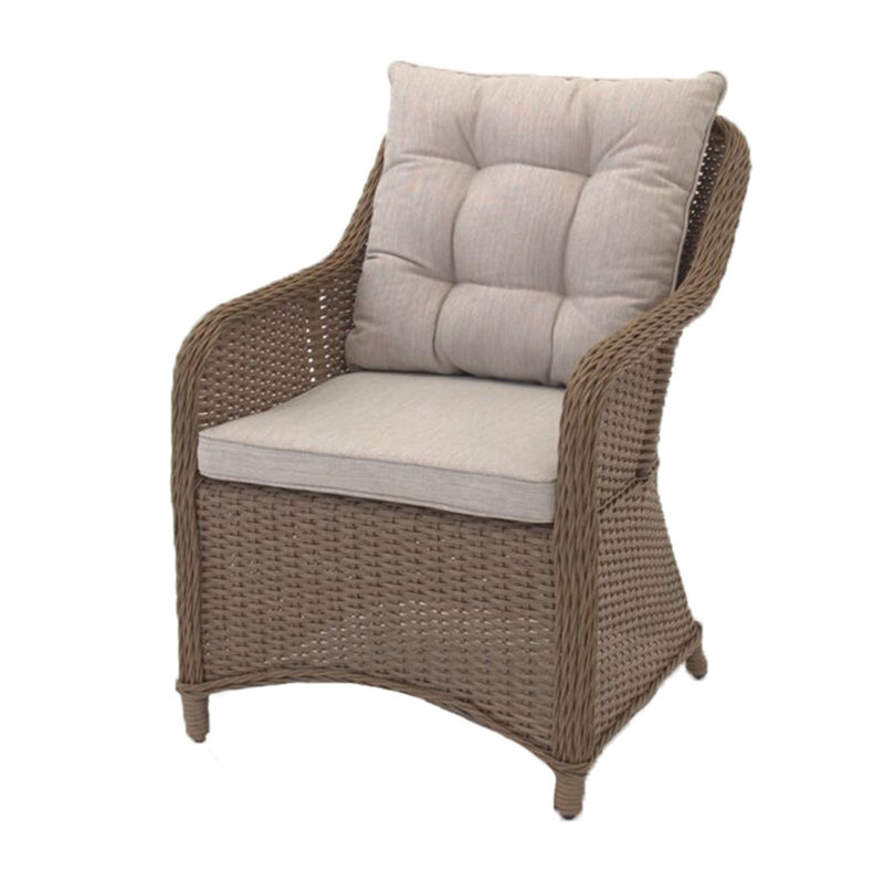 Adhelin Patio Dining Armchair with Cushion
