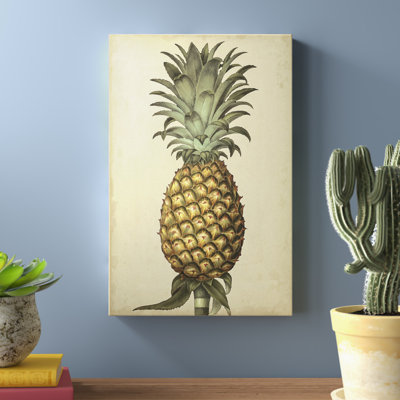Brookshaw Antique Pineapple I 1 Piece Painting
