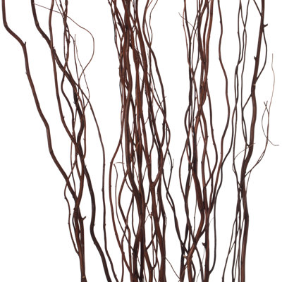 Seaford Willow Branches